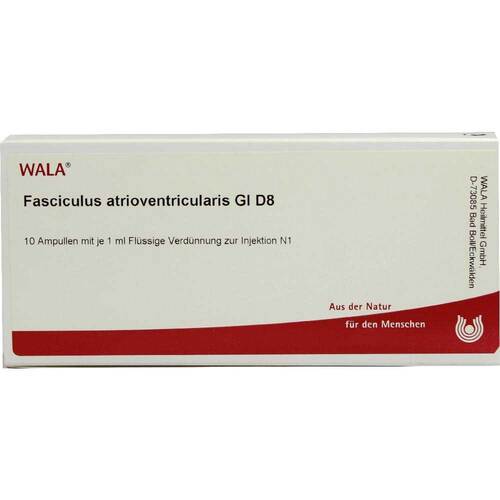 FASCICULUS atrioventricularis GL D 8 Ampullen - 1