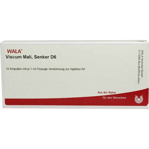 VISCUM MALI Senker D 6 Ampullen - 1