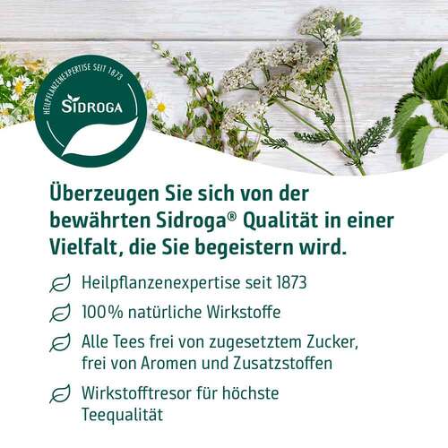 Sidroga Fenchel Anis K&uuml;mmel Tee Filterbeutel - 6