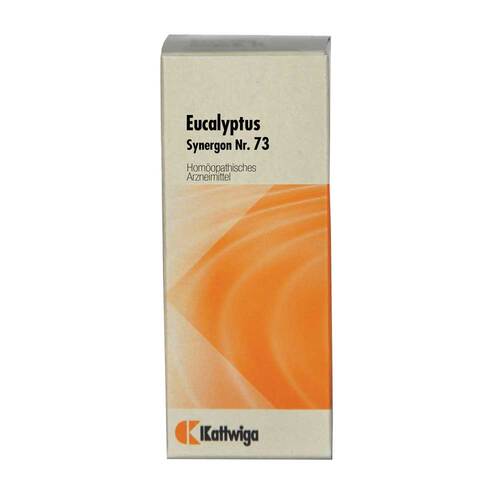 Synergon Komplex 73 Eucalyptus Tropfen - 1