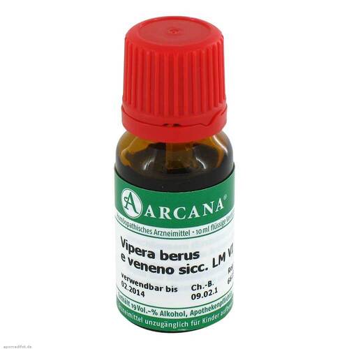 Vipera Berus E veneno siccatum LM 6 Dilution - 1