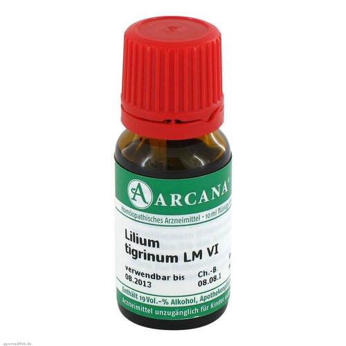 LILIUM TIGRINUM LM 6 Dilution - 1