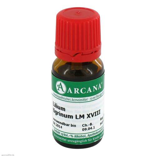 LILIUM TIGRINUM LM 18 Dilution - 1