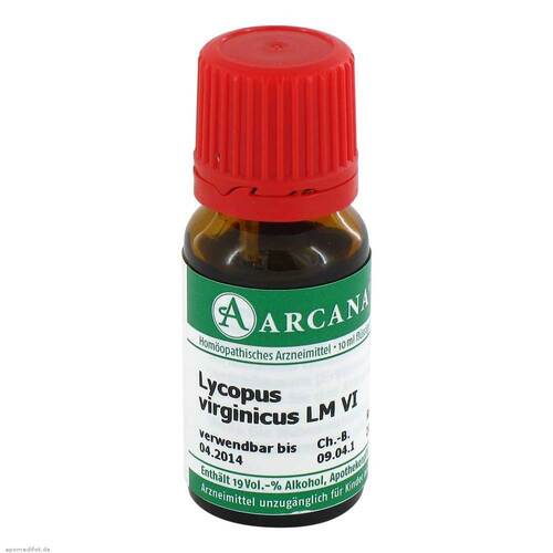 LYCOPUS VIRGINICUS LM 6 Dilution - 1