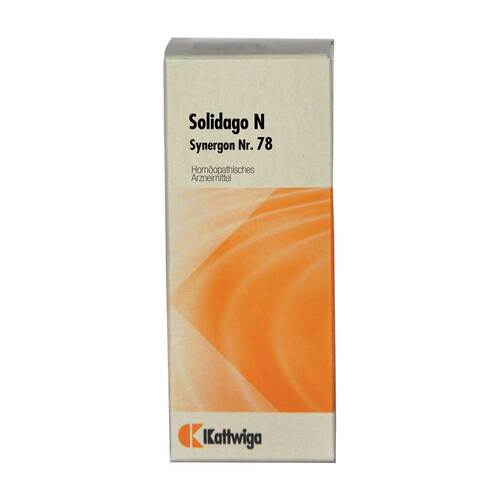 Synergon Komplex 78 Solidago N Tropfen - 1