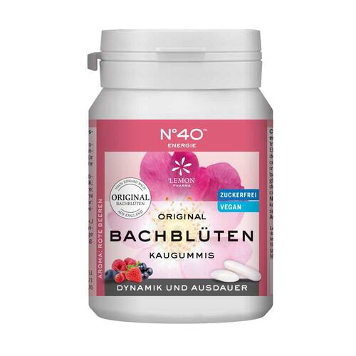 Energie Kaugummi nach Dr.Bach - 1