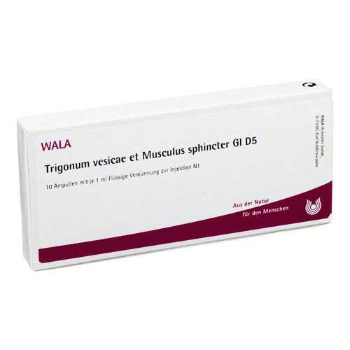 Trigonum vesicae et Musculus sphincter GL D 5 Ampulle  - 1