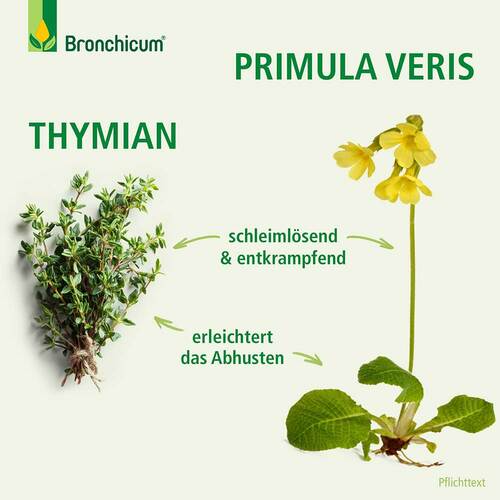 Bronchicum Elixir - 6