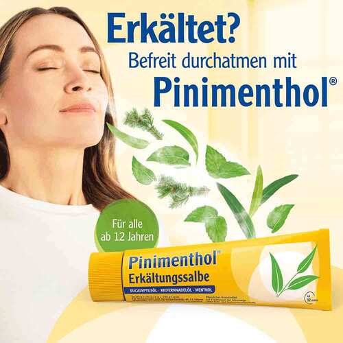 Pinimenthol Erk&auml;ltungssalbe Eucal. / Kiefern./Menth. - 2
