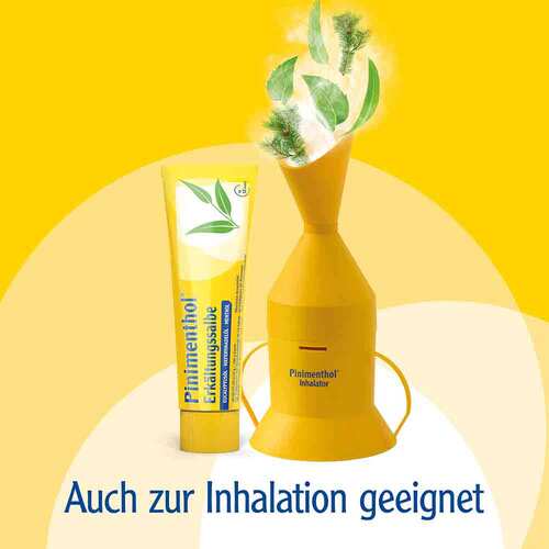 Pinimenthol Erk&auml;ltungssalbe Eucal. / Kiefern./Menth. - 7