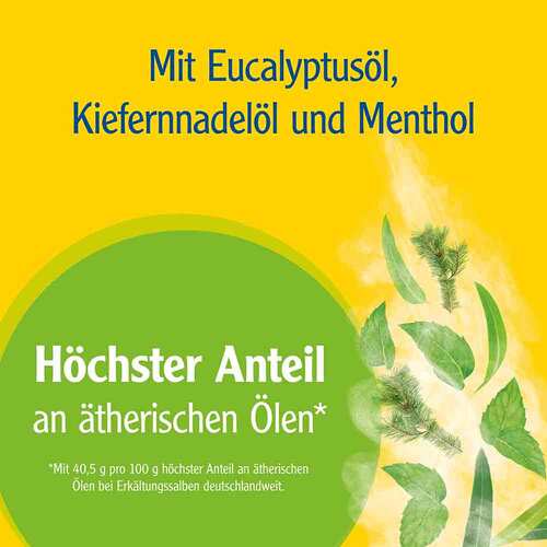 Pinimenthol Erk&auml;ltungssalbe Eucal. / Kiefern./Menth. - 3
