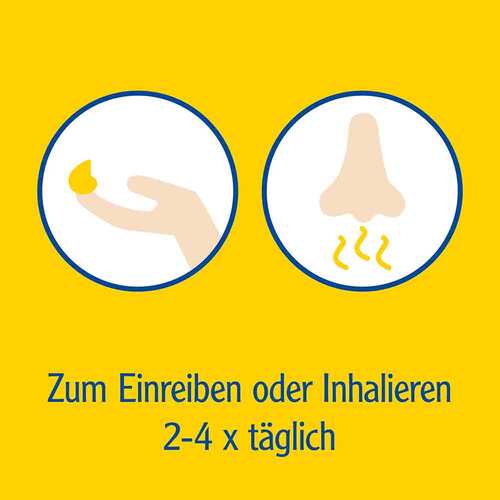 Pinimenthol Erk&auml;ltungssalbe Eucal. / Kiefern./Menth. - 5