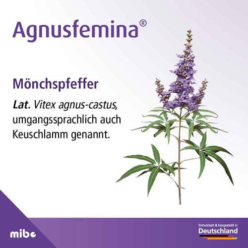 Agnusfemina 4 mg Filmtabletten - 3