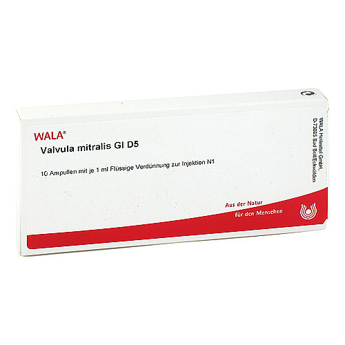 VALVULA mitralis GL D 5 Ampullen - 1