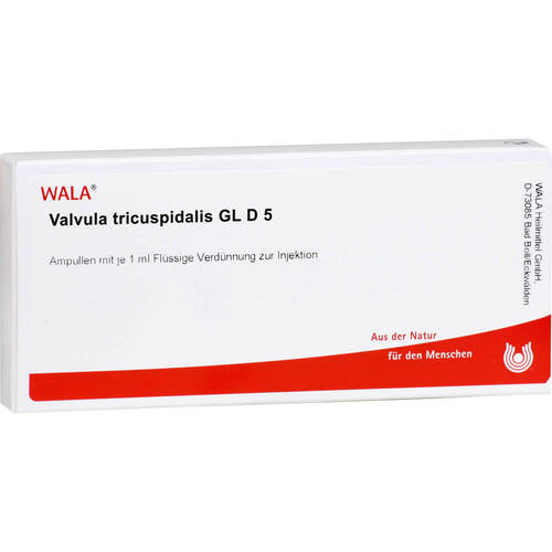VALVULA tricuspidalis GL D 5 Ampullen - 1