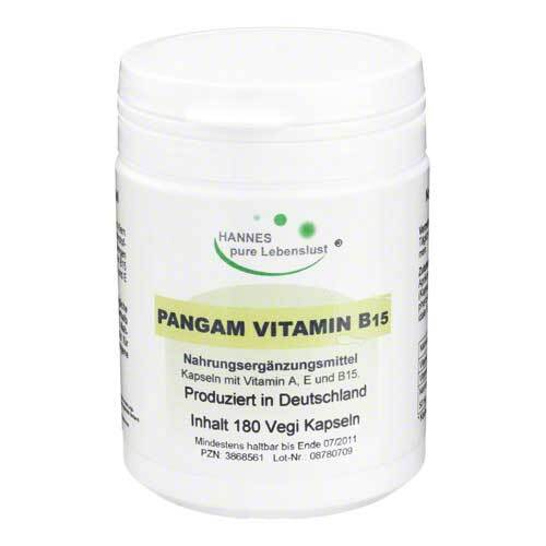 Pangam Vitamin B15 Vegi Kapseln - 1