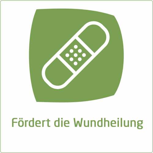 Calendula Wundsalbe - 6