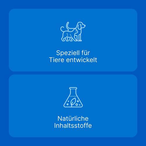Traumeel T ad us.vet.Tabletten - 3