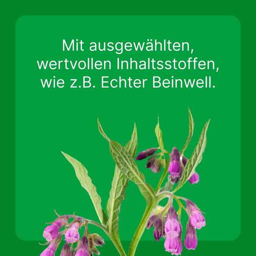 Zeel ad us.vet.Tabletten - 4
