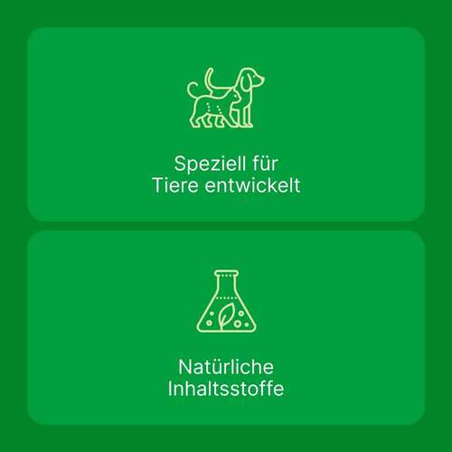 Zeel ad us.vet.Tabletten - 5