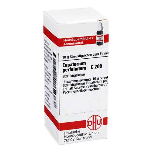 Eupatorium perfoliatum C 200 Globuli - 1