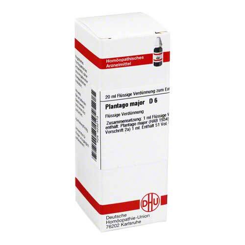 PLANTAGO MAJOR D 6 Dilution - 1