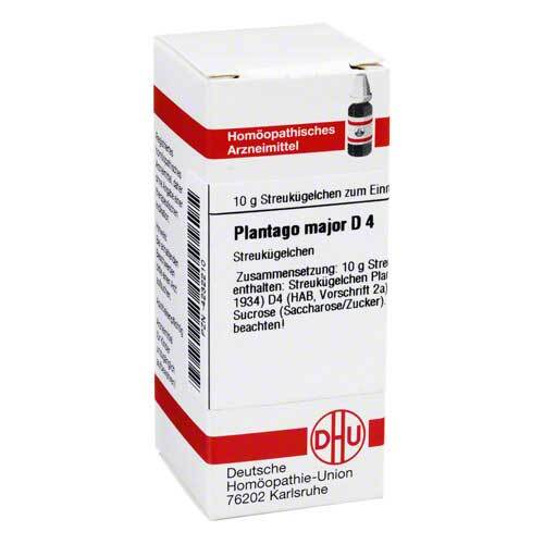 PLANTAGO MAJOR D 4 Globuli - 1