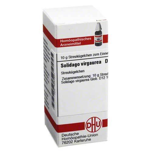 Solidago virgaurea D 12 Globuli - 1