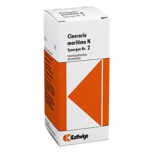 Synergon Komplex 2 Cineraria maritima N Tropfen - 1