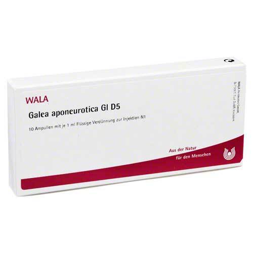 GALEA aponeurotica GL D 5 Ampullen - 1