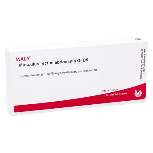 MUSCULUS RECTUS abdominis GL D 5 Ampullen - 1