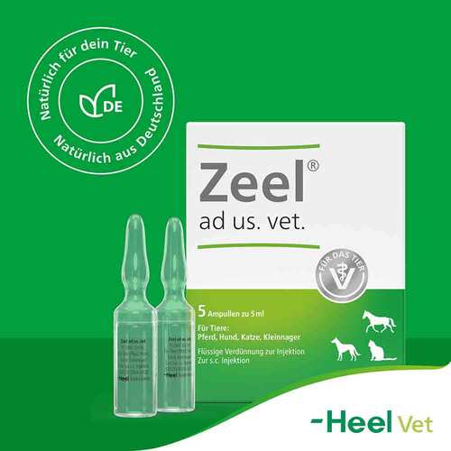 Zeel ad us.vet.Ampullen - 8