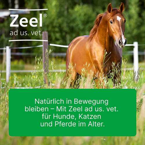Zeel ad us.vet.Ampullen - 5