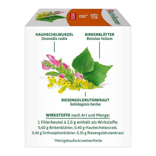 Bad Heilbrunner Harntee Filterbeutel - 4