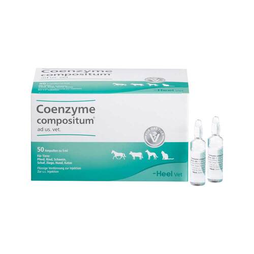 Coenzyme Compositum ad us.vet.Ampullen - 1