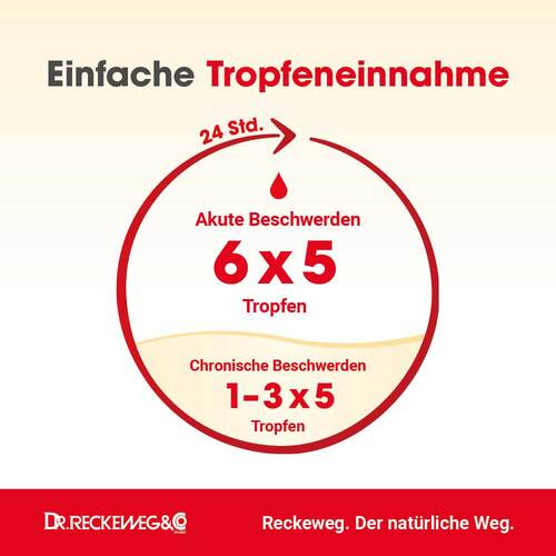 Haemorrhoid-Gastreu N R13 Mischung - 3