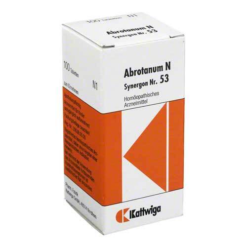 SYNERGON KOMPLEX 53 Abrotanum N Tabletten - 1