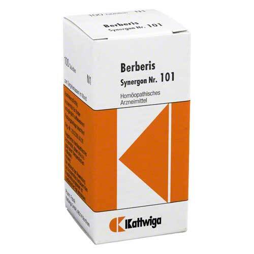 SYNERGON KOMPLEX 101 Berberis Tabletten - 1
