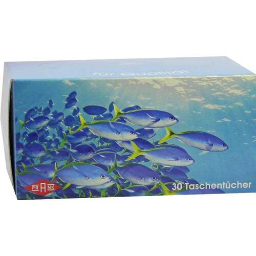 TASCHENTUCHBOX 30er - 1