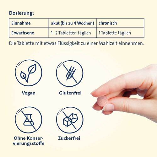 Vitamin B Komplex forte Hevert Tabletten - 6