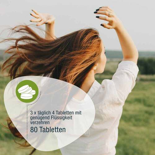 Gse Spirulina 500 mg Bio Naturland Tabletten - 3