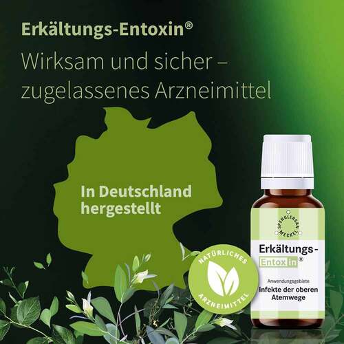 Erk&auml;ltungs-Entoxin Tropfen - 4