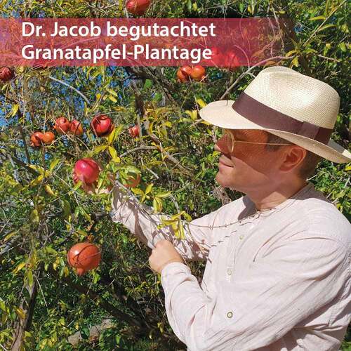 Granaimun Dr.Jacob's Tropfen - 4