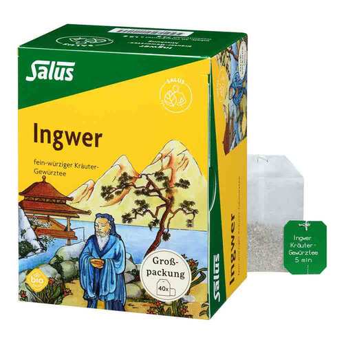 Ingwer Kr&auml;uter-Gew&uuml;rztee-Mischung Bio Salus Fbeutel  - 1