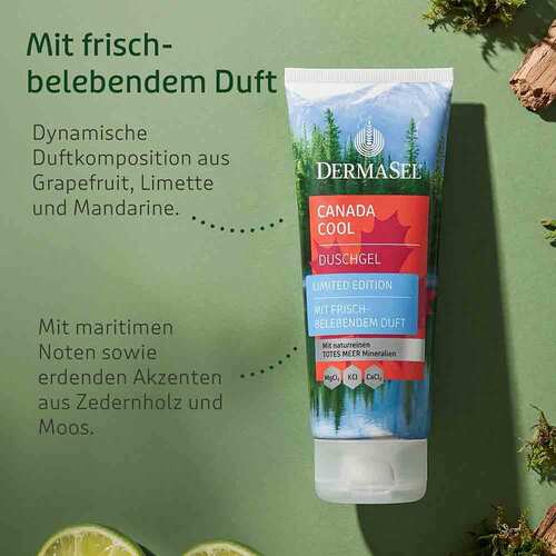Dermasel Totes Meer Duschgel Canada Cool lim.Edit. - 2