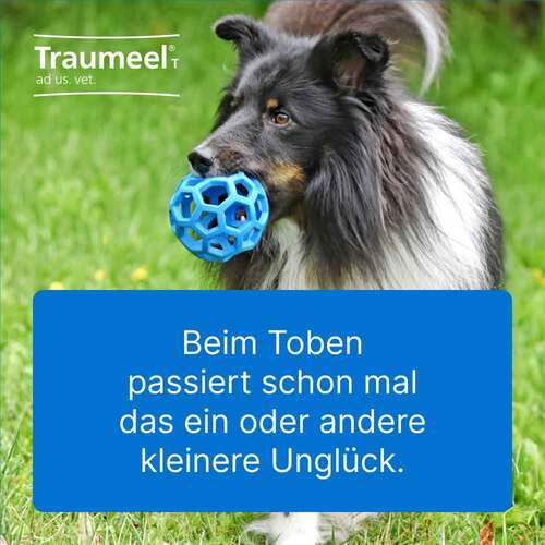 Traumeel T ad us.vet.Tabletten - 2