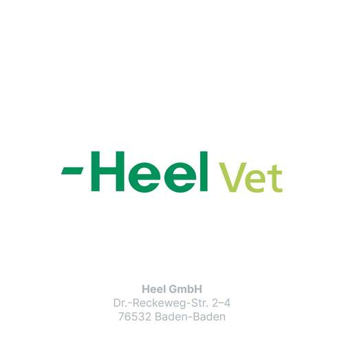 Traumeel T ad us.vet.Tabletten - 6