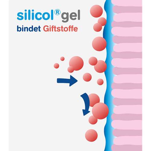 SILICOLGEL gegen Magen-Darm-Erkrankungen - 6