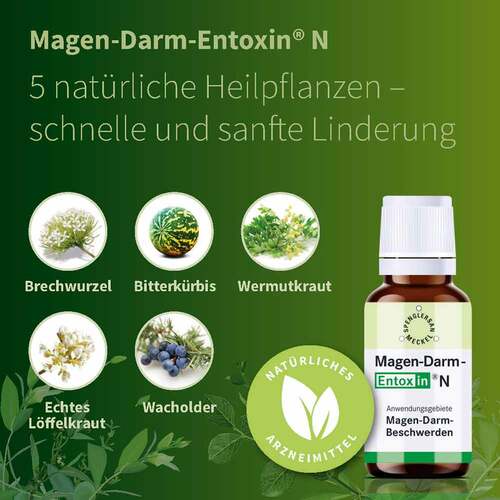 Magen-Darm-Entoxin N Tropfen - 2