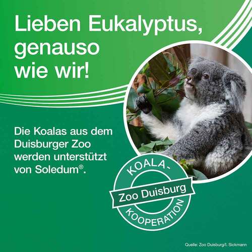 Soledum 100 mg magensaftresistente Kapseln - 7